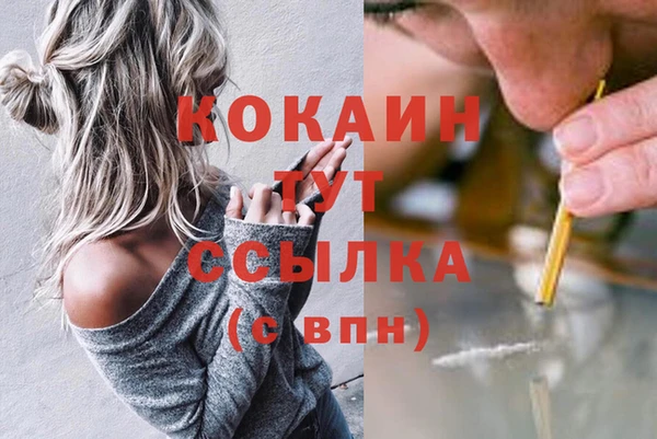 индика Бронницы