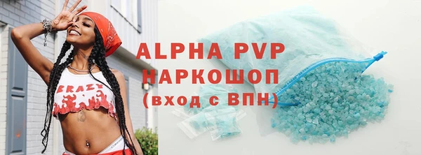 индика Бронницы