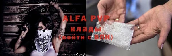индика Бронницы
