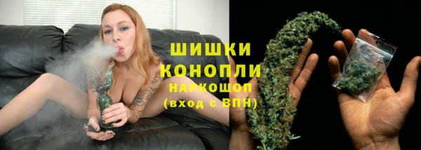 a pvp Бородино