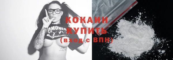 индика Бронницы