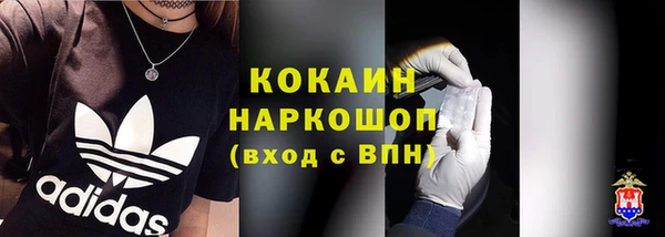 a pvp Бородино