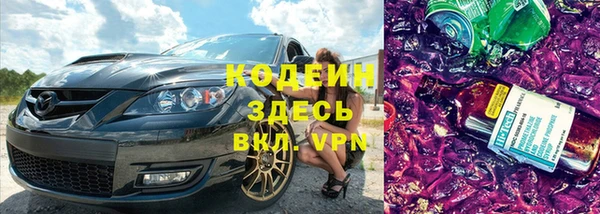 индика Бронницы