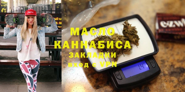 индика Бронницы