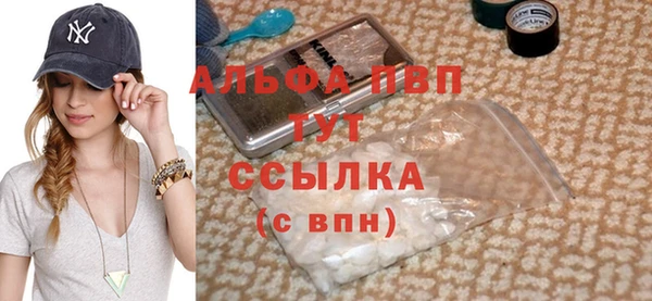 индика Бронницы