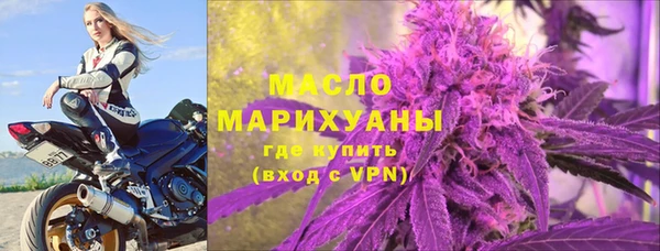 индика Бронницы