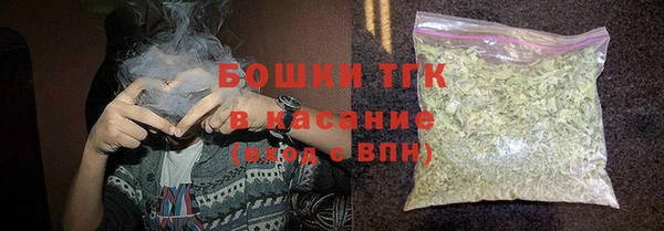 a pvp Бородино