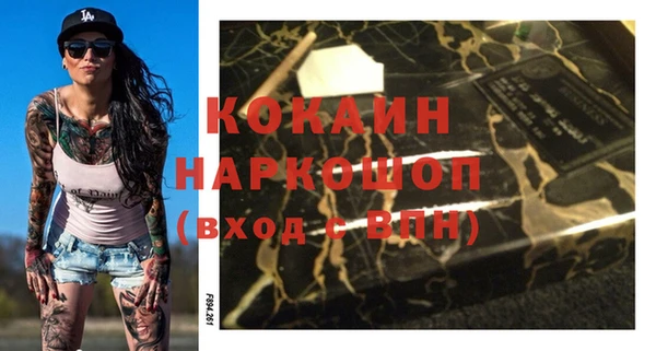 гидра Кодинск