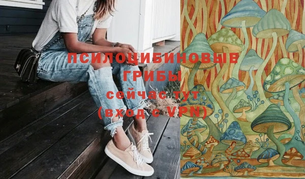 гидра Бугульма