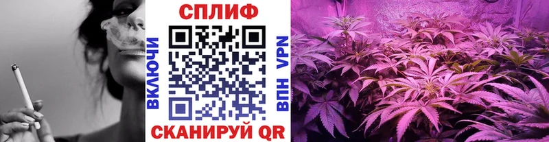 Каннабис планчик Очёр